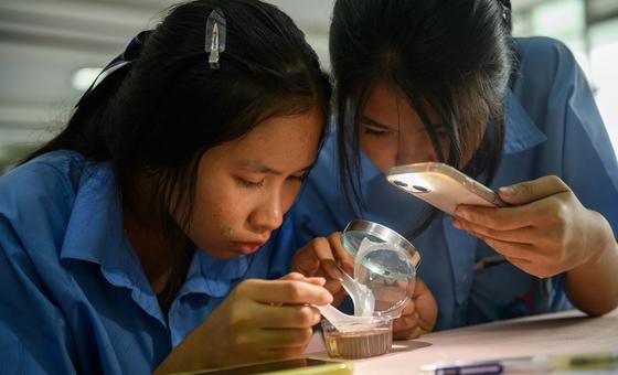 UNICEF is working on expanding STEM education for girls in rural areas.